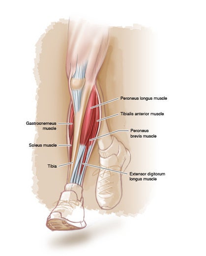 What's That Thorn in My Shin? - Trail Runner Magazine