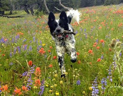 best workouts for trail runners