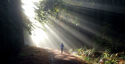 best workouts for trail runners