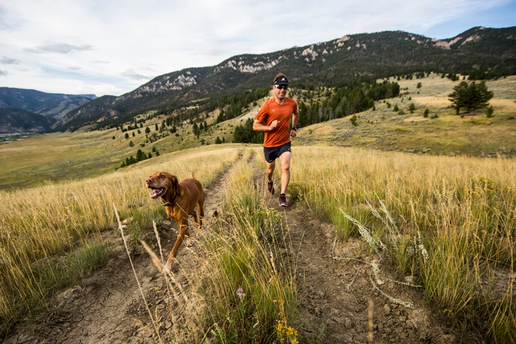 recovery run or rest day