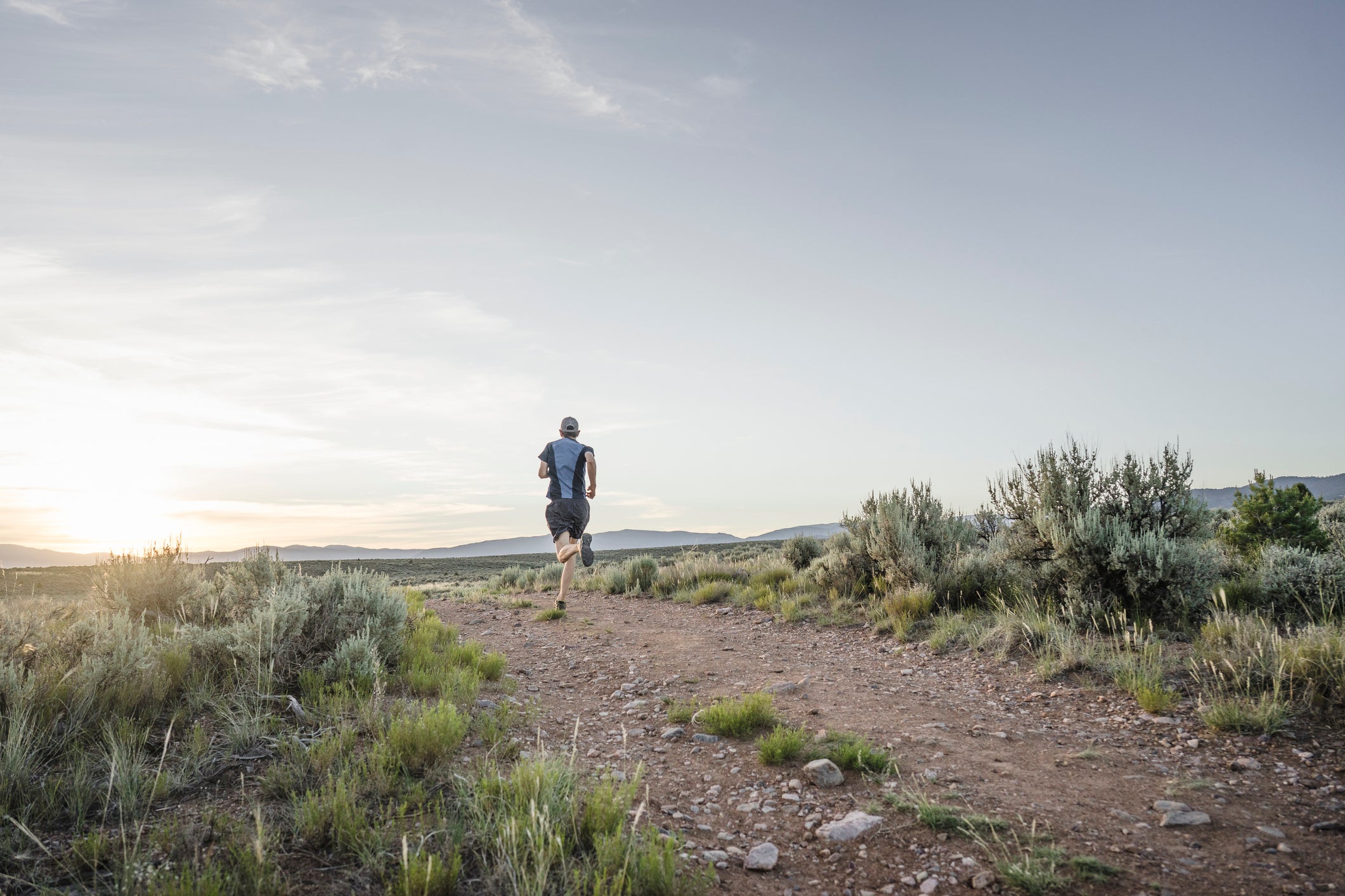 Rear view shot of single man trail running through sagebrush desert, Taos, New Mexico, USA