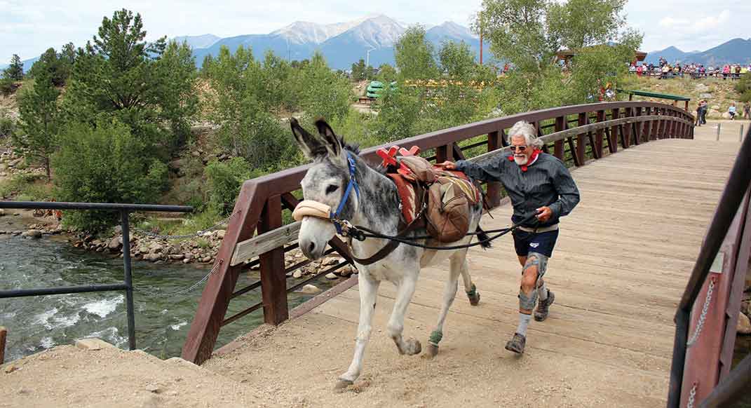 Burro racer curtis imrie