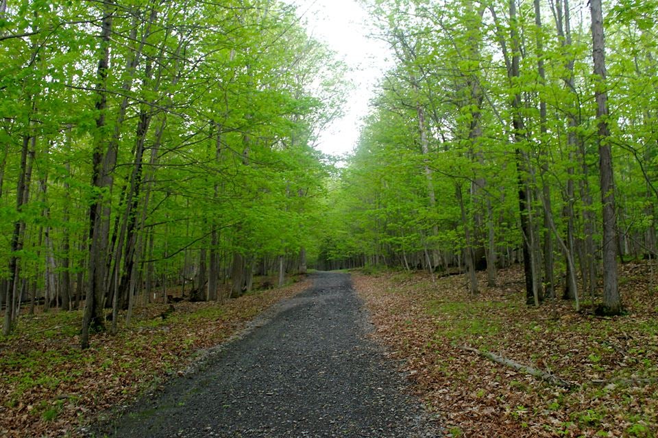Trail Running in Ithaca