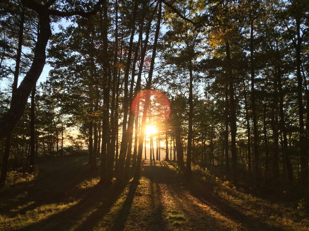 trail running tennessee