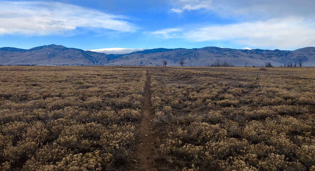 Training For Your First Ultra Over 50K