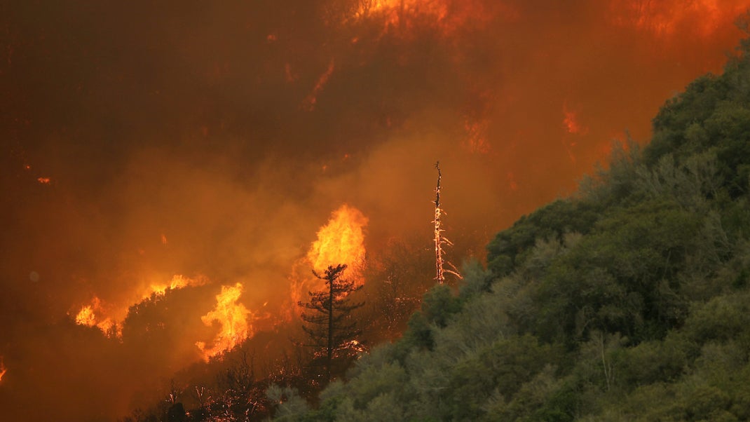 LOS ANGELES, CA - JUNE 1:  The Powerhouse fire makes a fast run toward Lake Hughes on June 1, 2013 south of Lake Hughes, California. The 19,500-acre wildfire destroyed numerous homes overnight. Nearly 1,000 firefighters have been working in hot dry conditions to establish containment lines around 20 percent of the fire so far.  (Photo by David McNew/Getty Images)