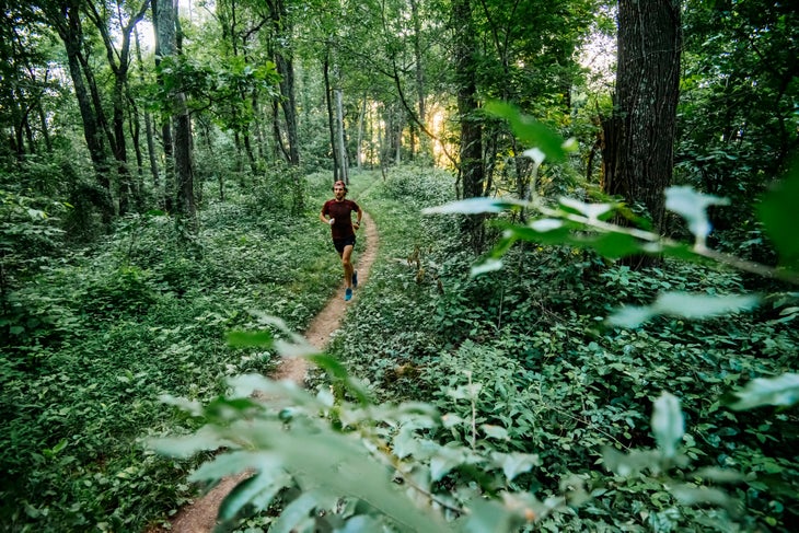 training plan run first 50 mile ultra trail race