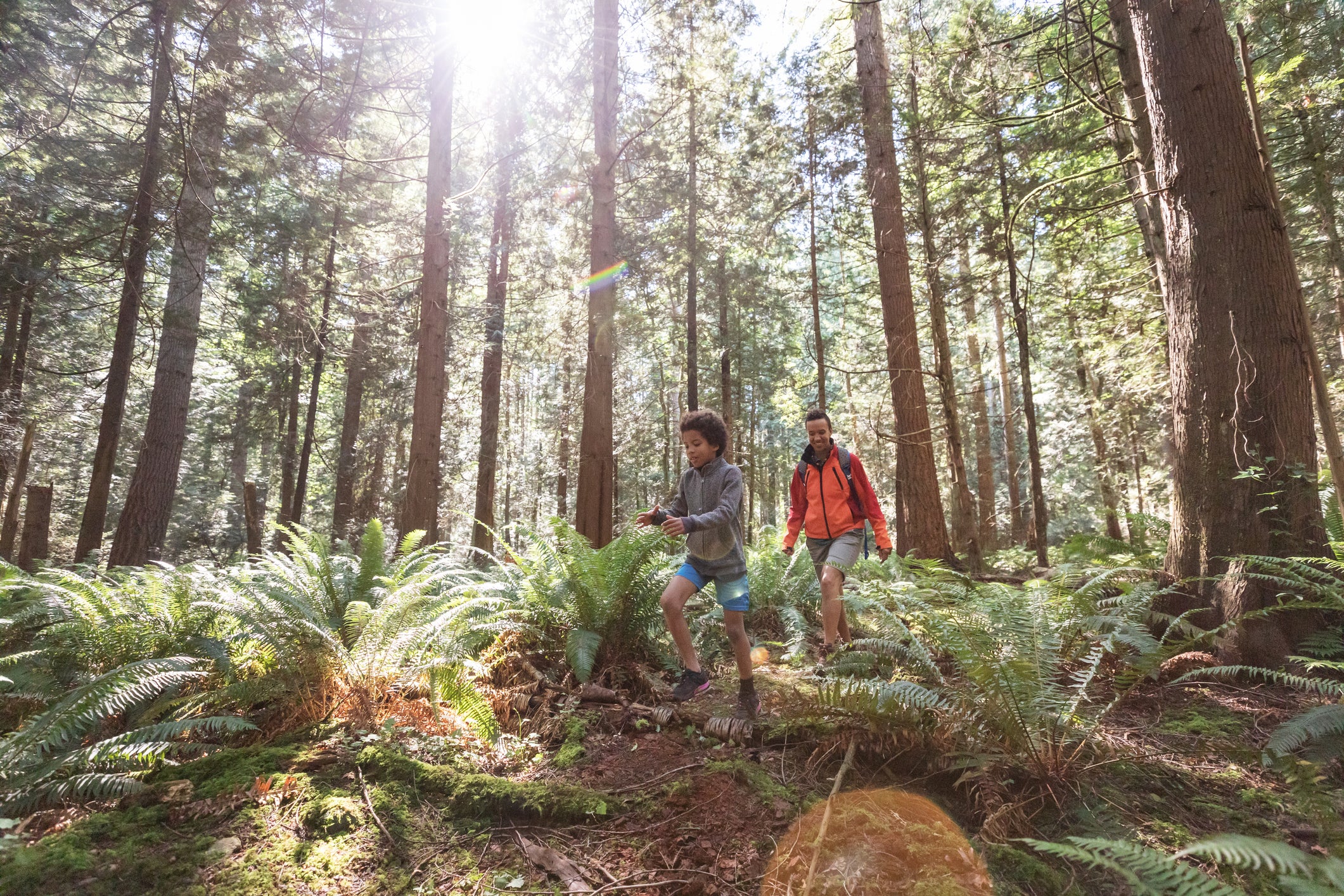 Mom and son walking in the woods in the sunshine
