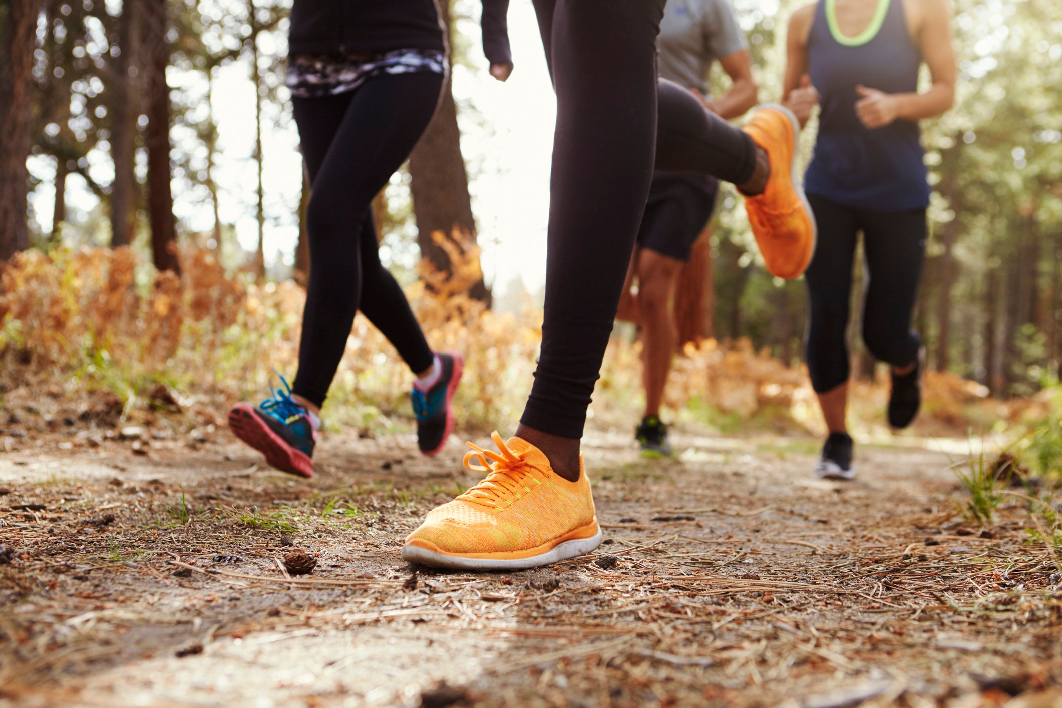 Legs and shoes of four young adults running in forest, crop
