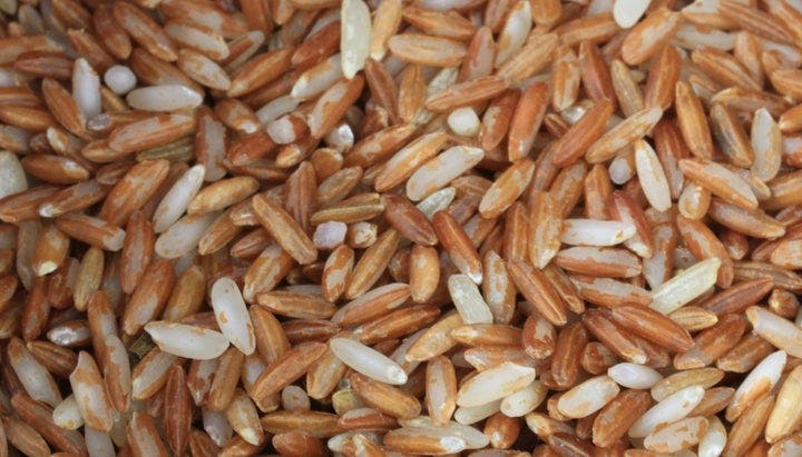 brown rice quinoa for runners