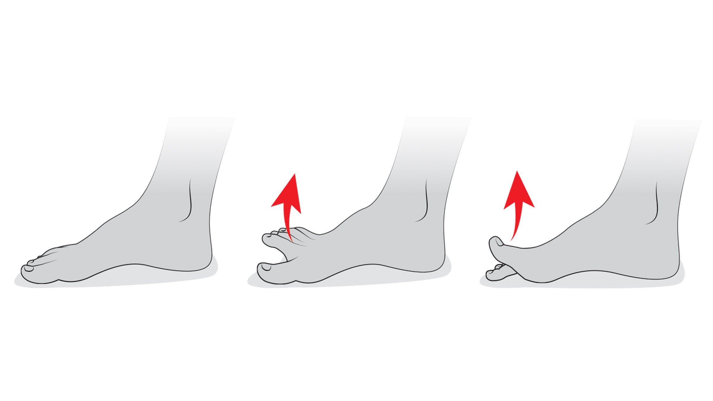 Right Toe Add Small Exercises. Big Gains.