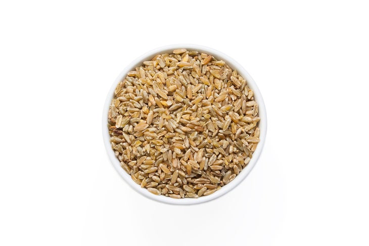 plant based protein for runners