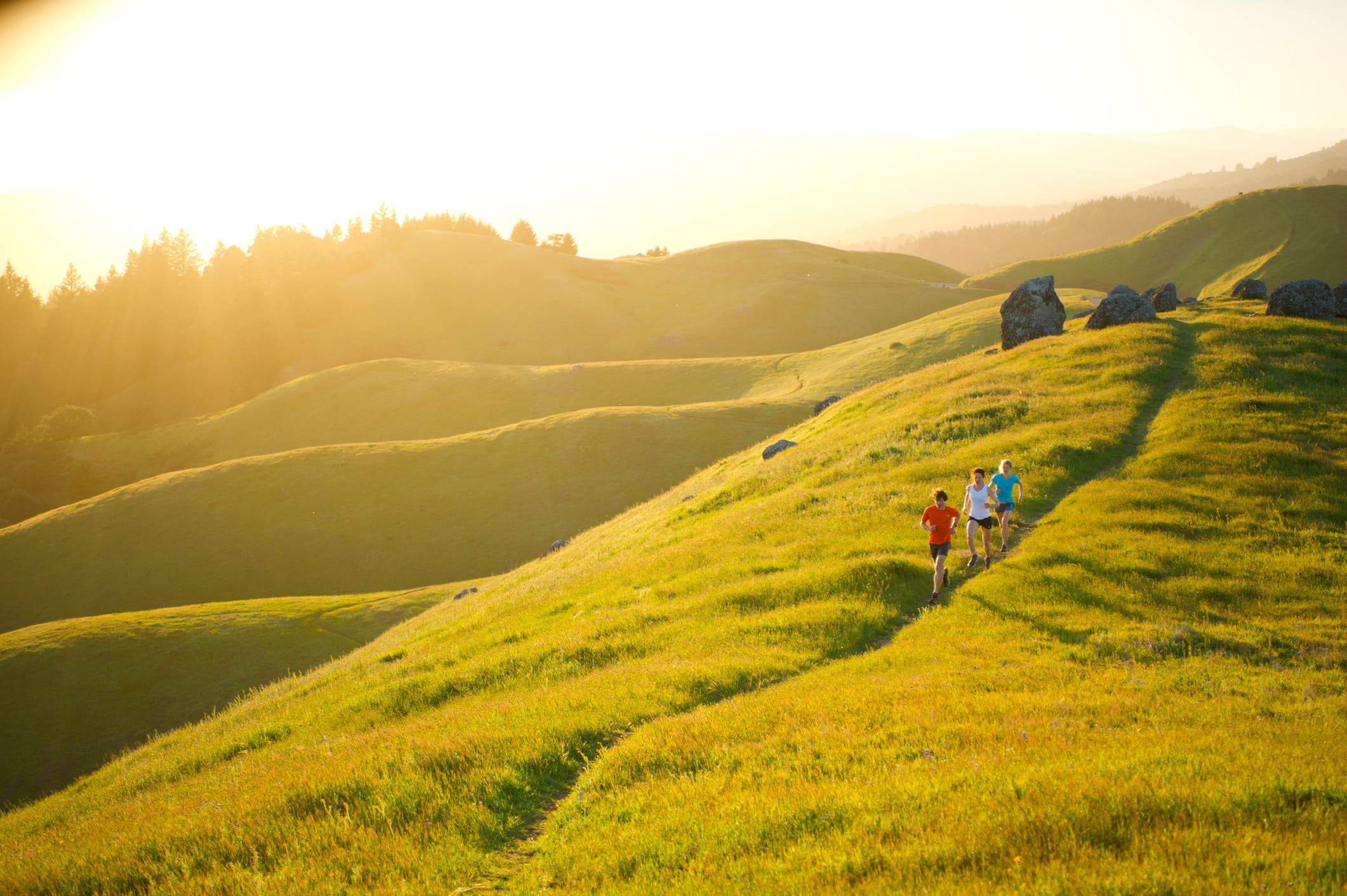 David Roche ultra 50k training plan