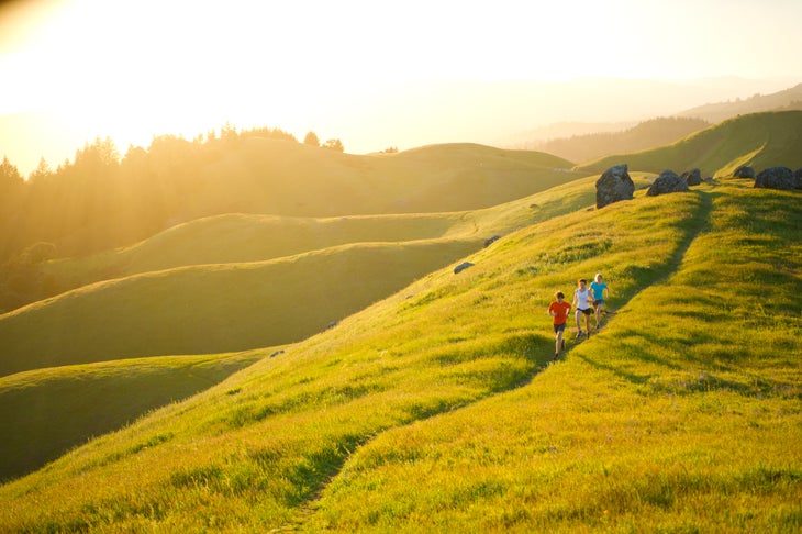 David Roche ultra 50k training plan