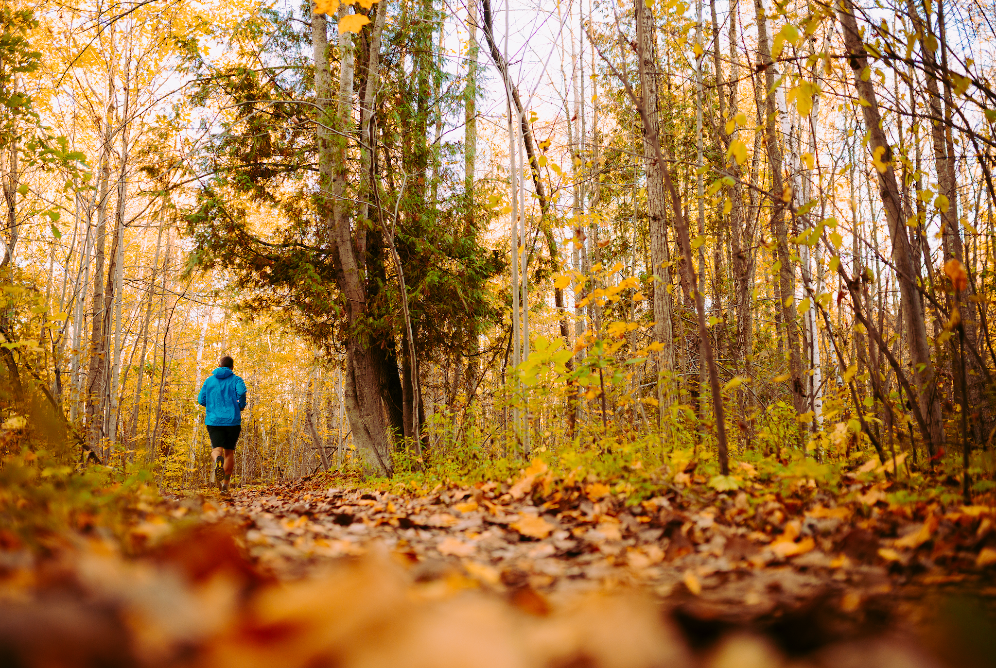 tommy byrne trail running mental health
