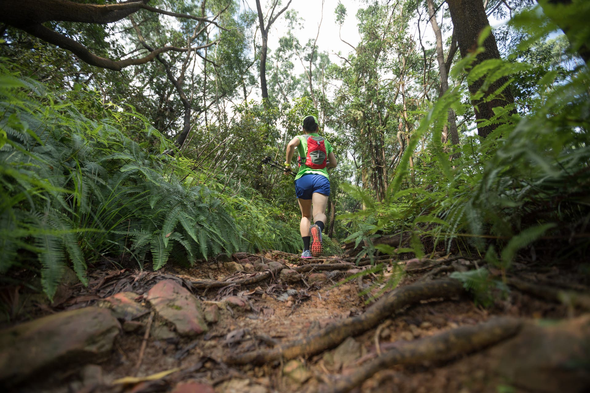 long runs vs interval training