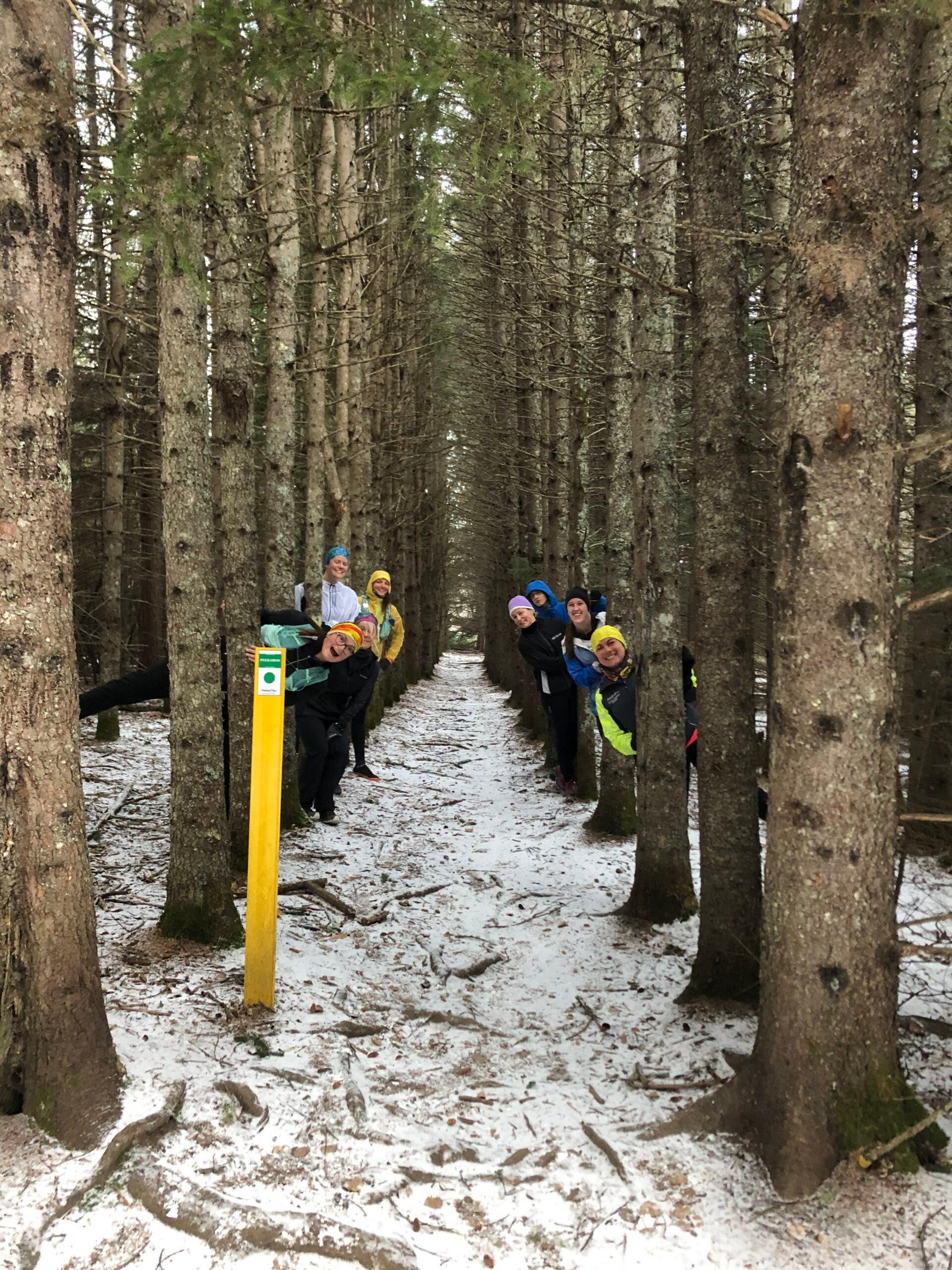 trail running ontario canada