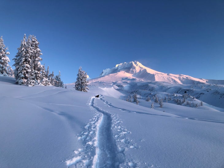 skiing for runners