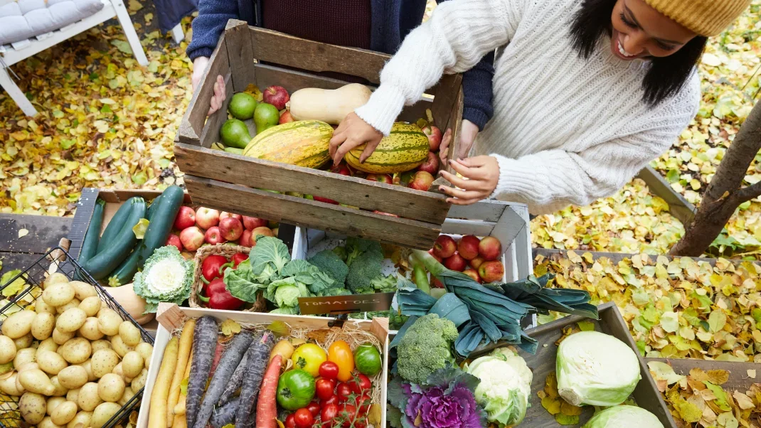 Should Vegan Runners Take Vitamin B12? Trail Runner Magazine