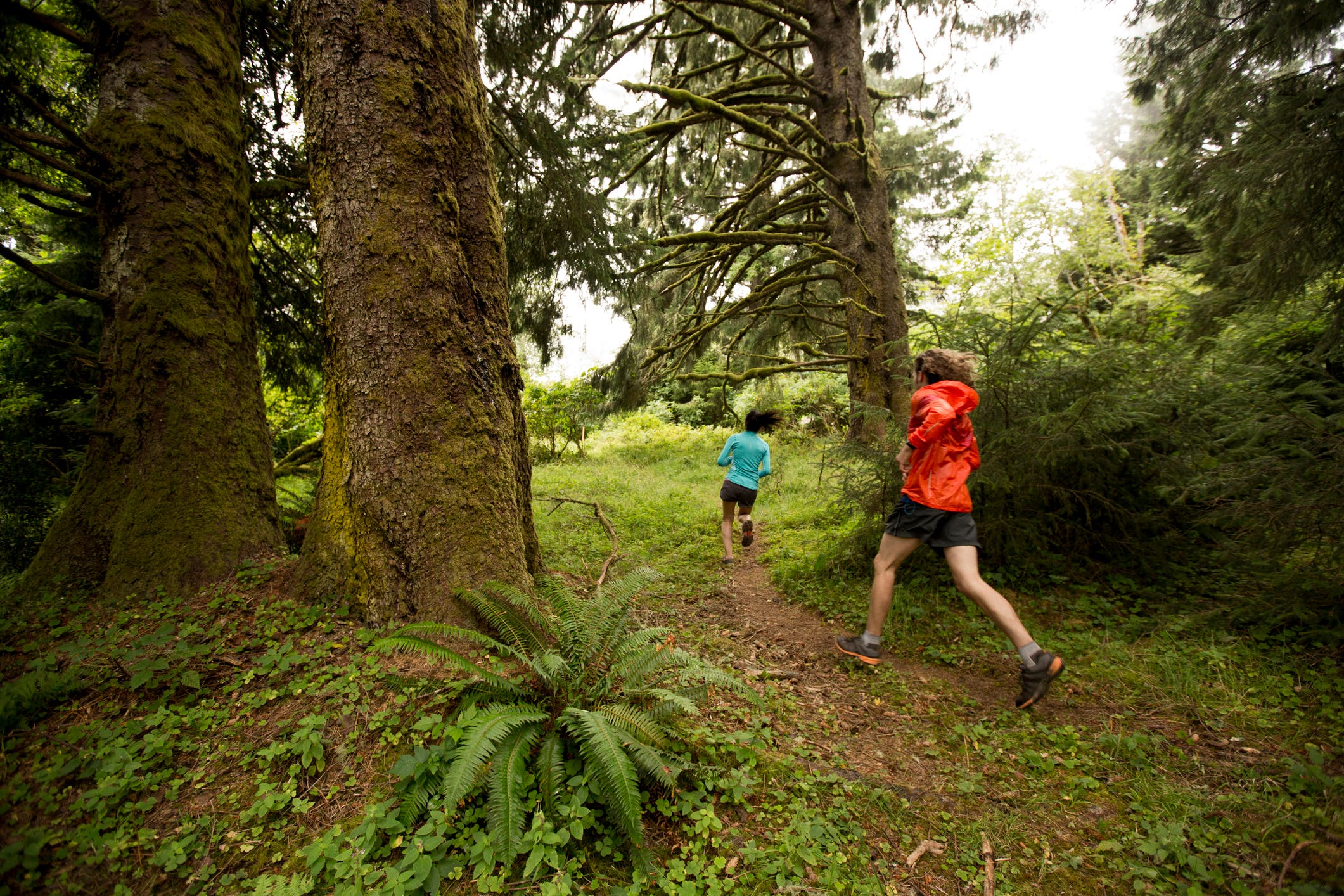 science speedwork trail running