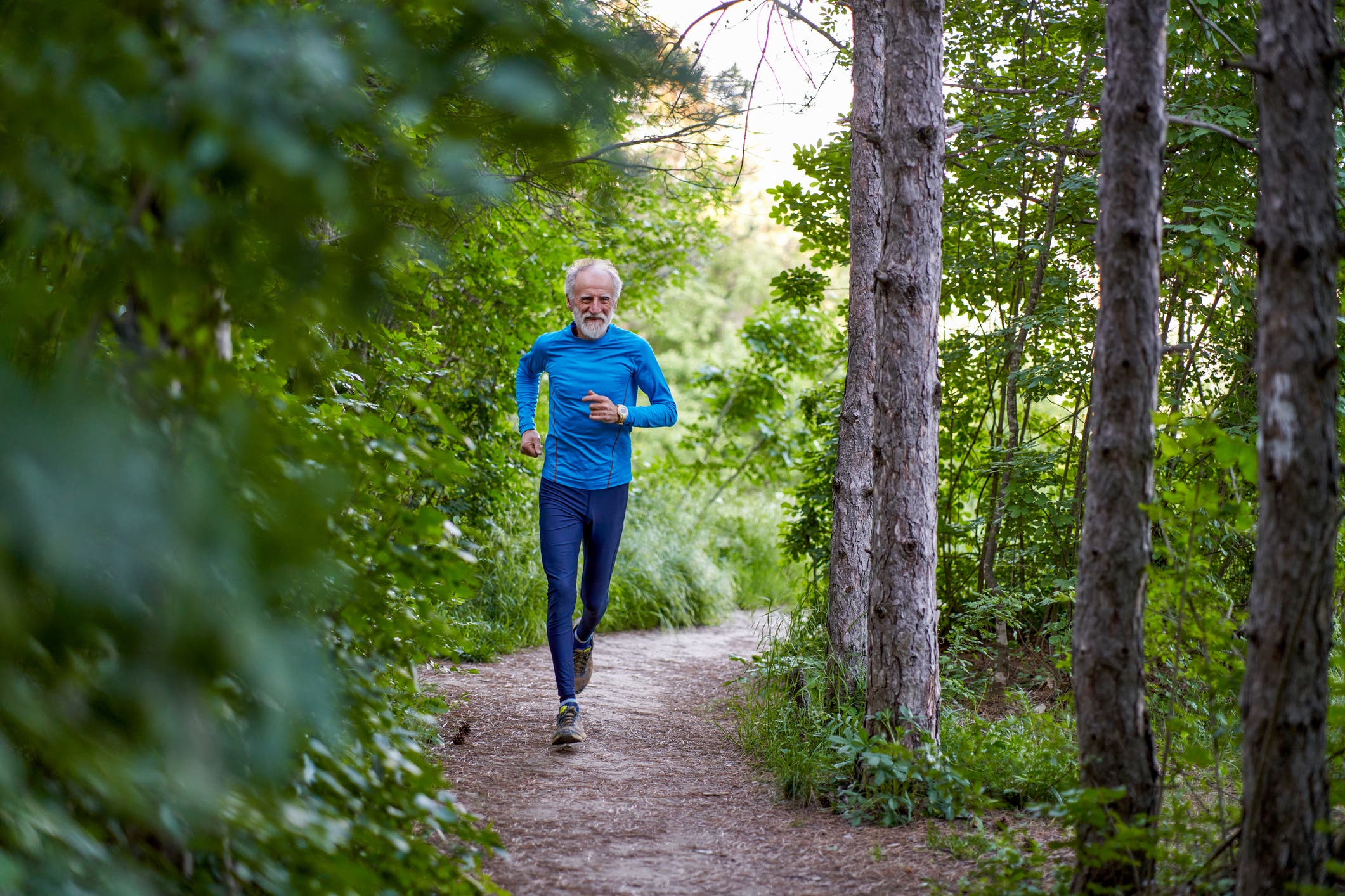 training plans for trail running