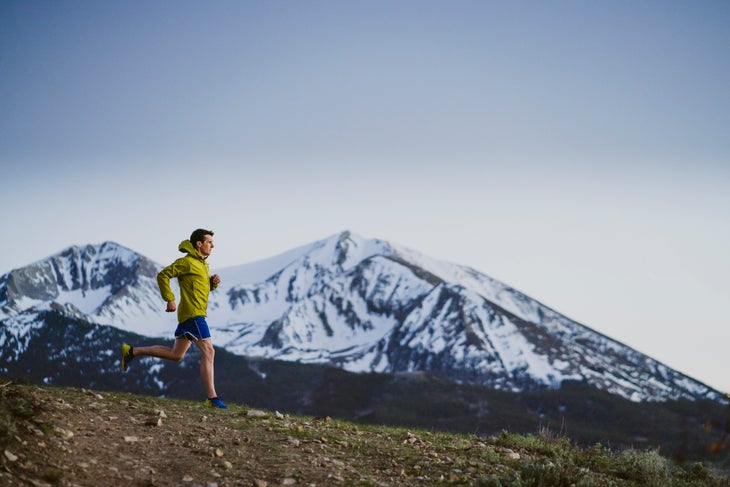 David Roche training science elite runners ultra