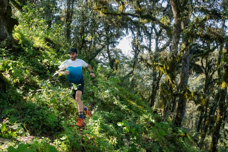 David Roche Science Downhill trail running