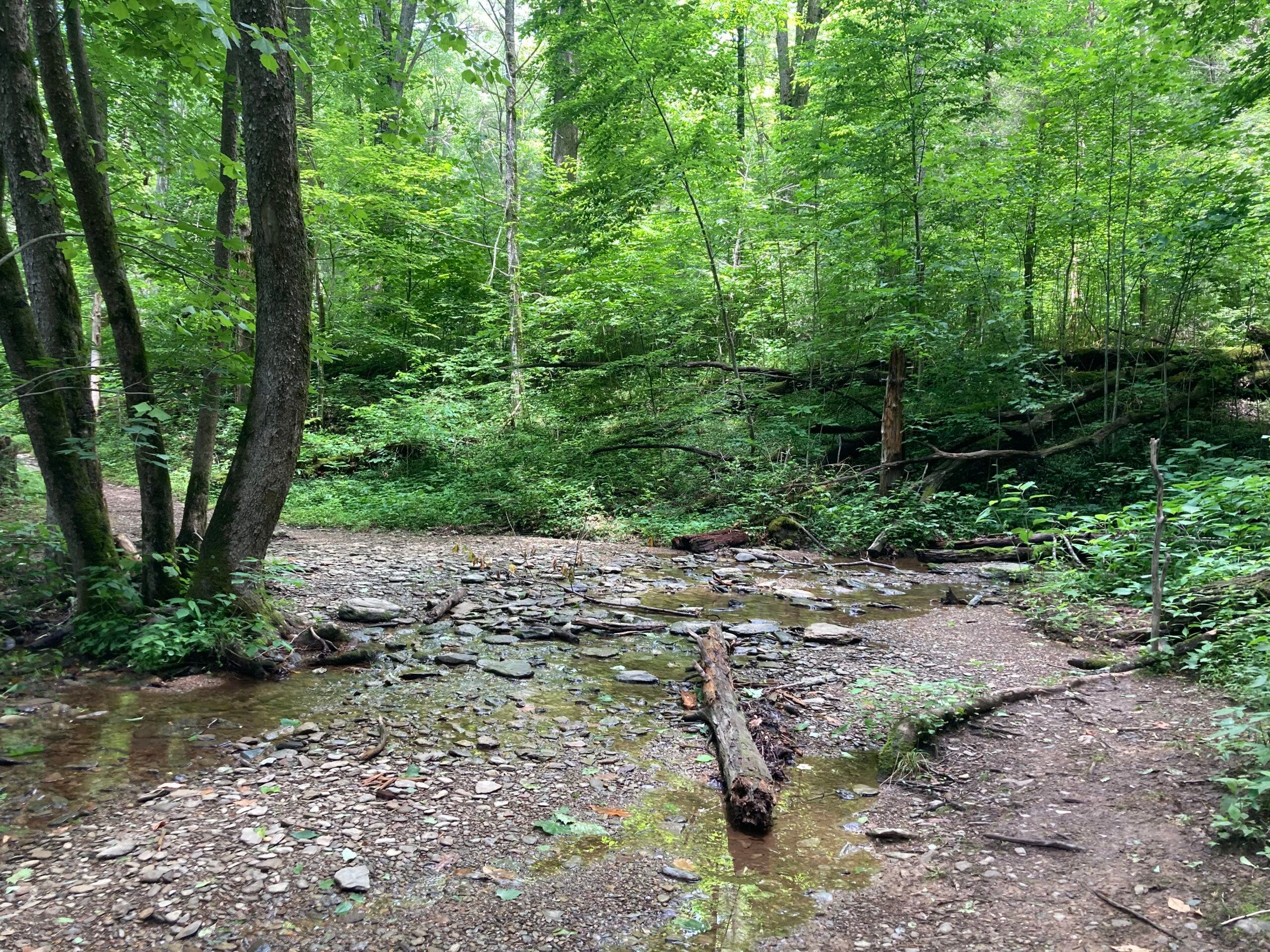trail running in tennessee