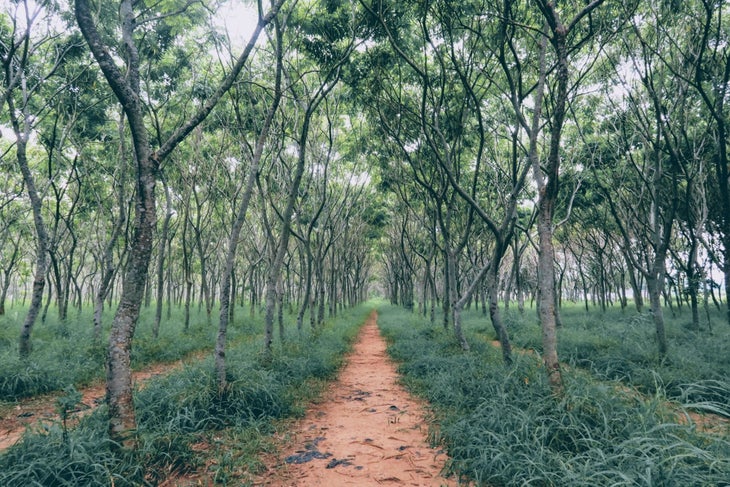 what is trail running