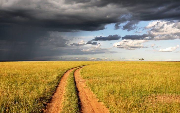 what is trail running