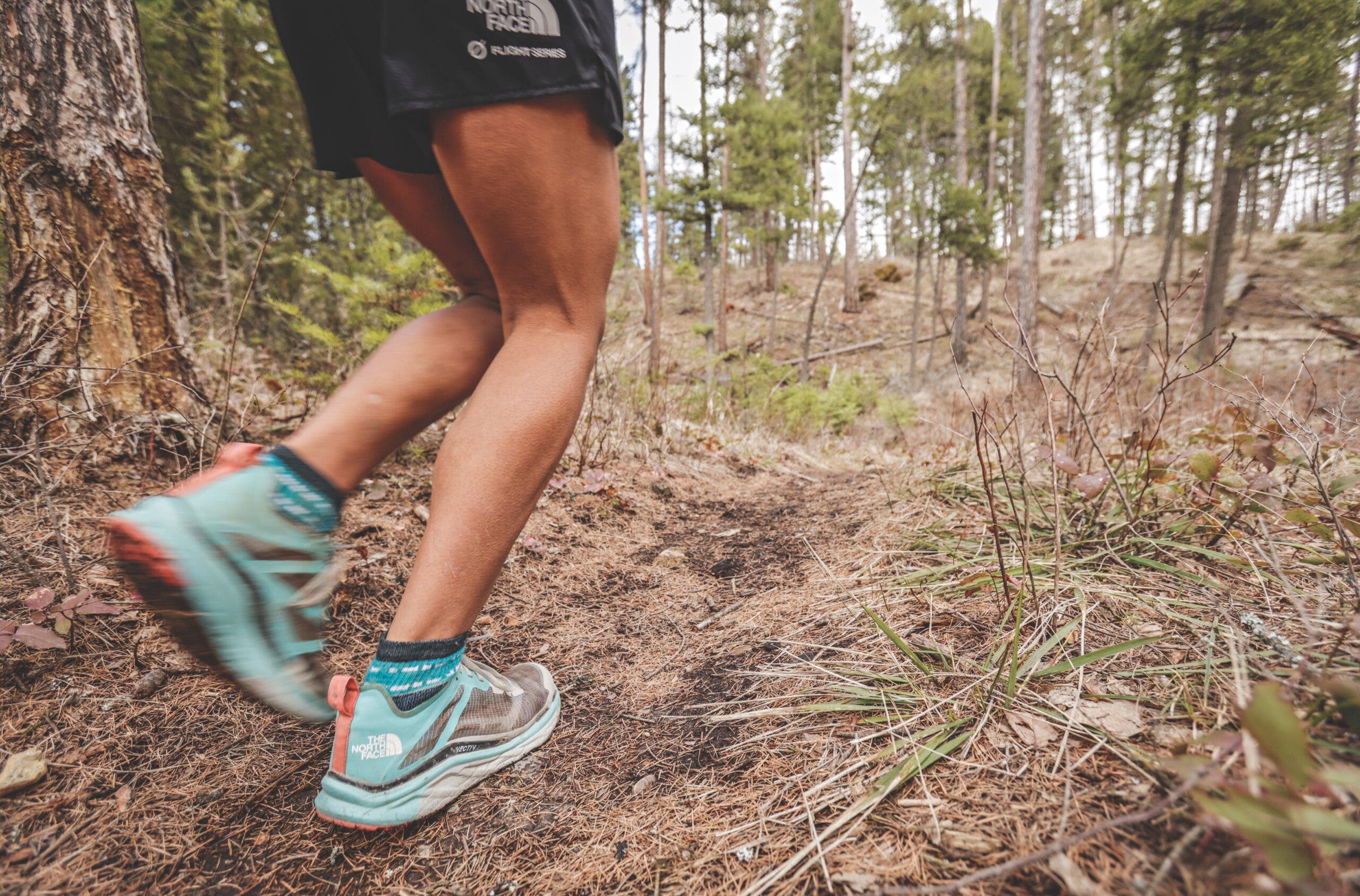 jennifer lichter montana