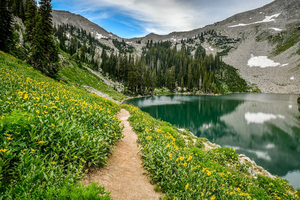 speedgoat 50k race preview