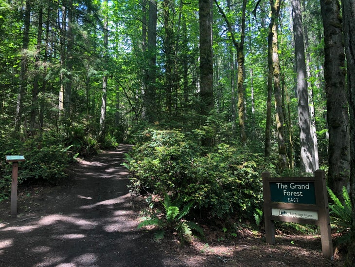 bainbridge island trail running