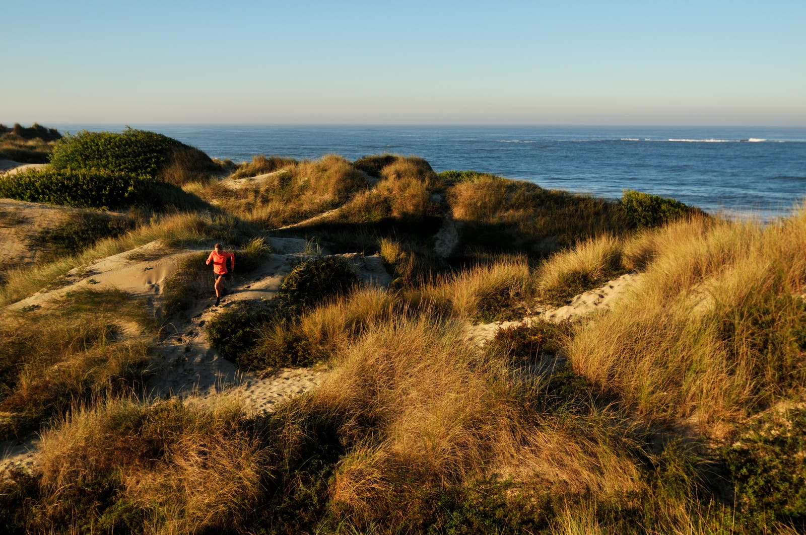 trail running training mistakes