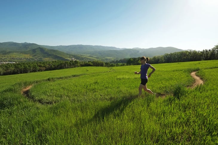 Run Rabbit Run 100 Course