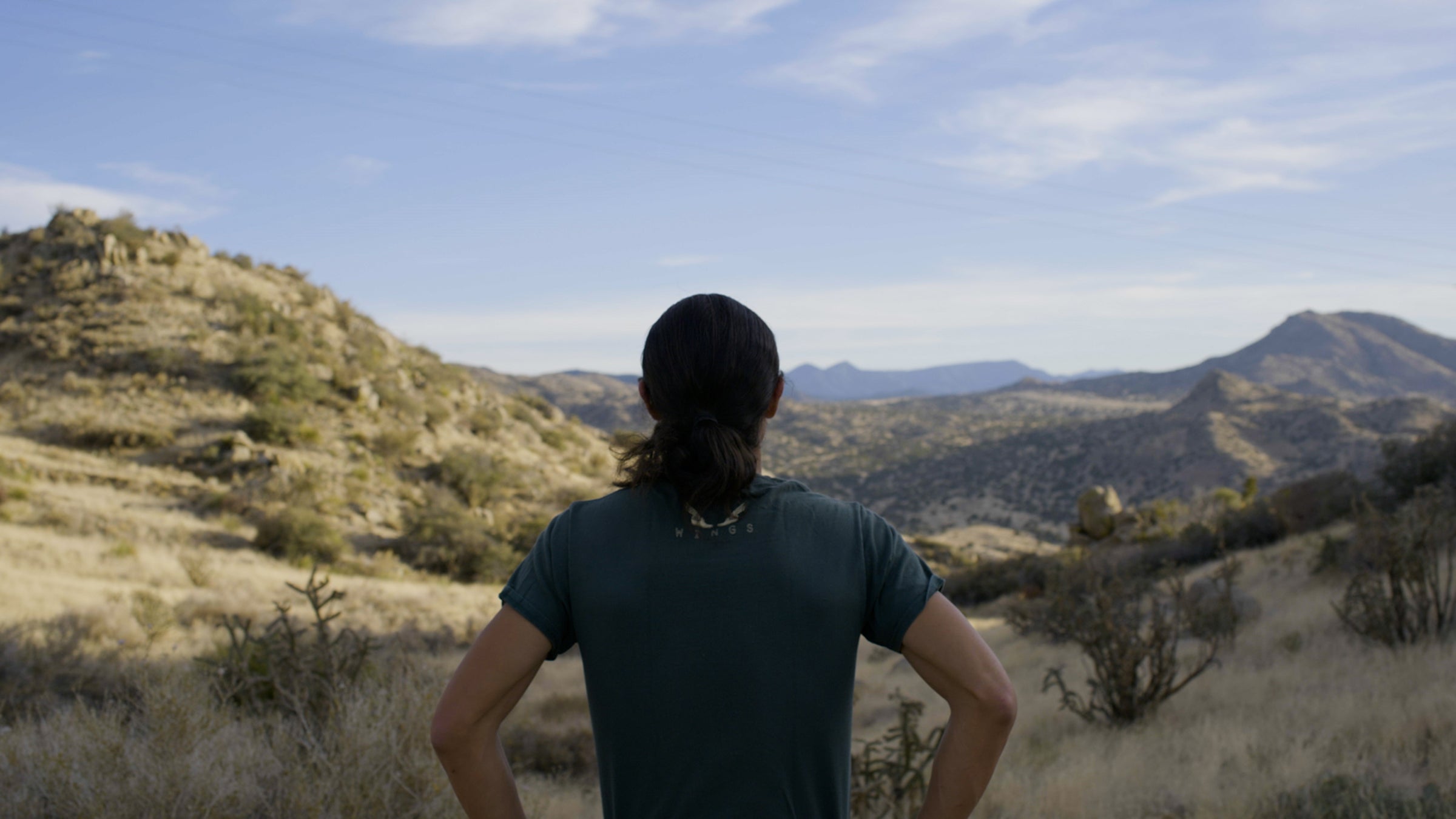 person standing in front of a desert landscape