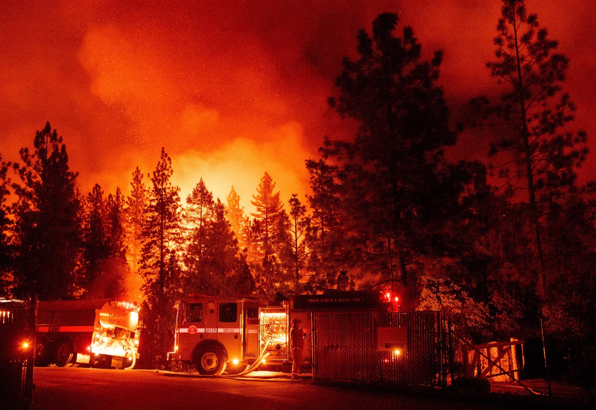 Firefighters monitor a backfire during the Mosquito fire in Foresthill, an unincorporated area of Placer County, California on September 13, 2022.