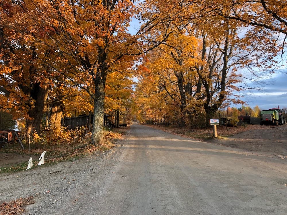 The start of a run on the Waitsfield Common Road.