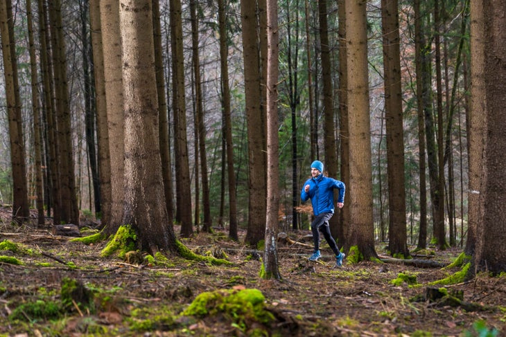 David Roche Workouts Speed Trail Running