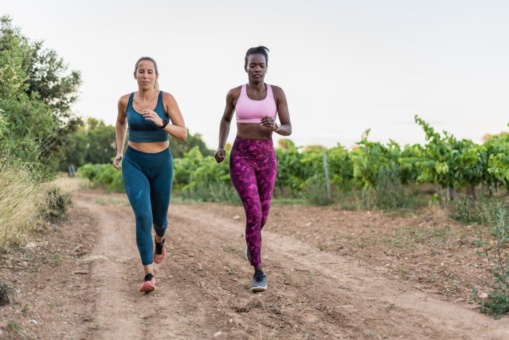 Coach David Roche Running Workout