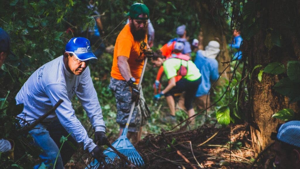 volunteers raking and cleaning up trails in the forest together