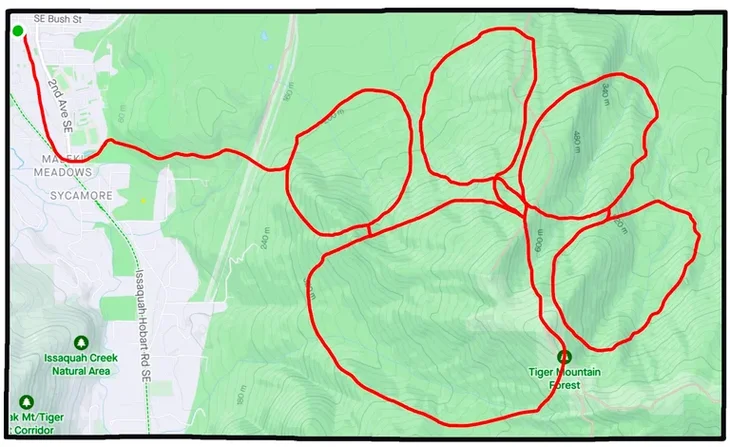 Fake Tiger Claw strava map