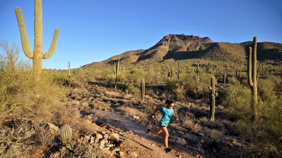How Runners in Phoenix Survived the Hottest Summer Ever Trail Runner