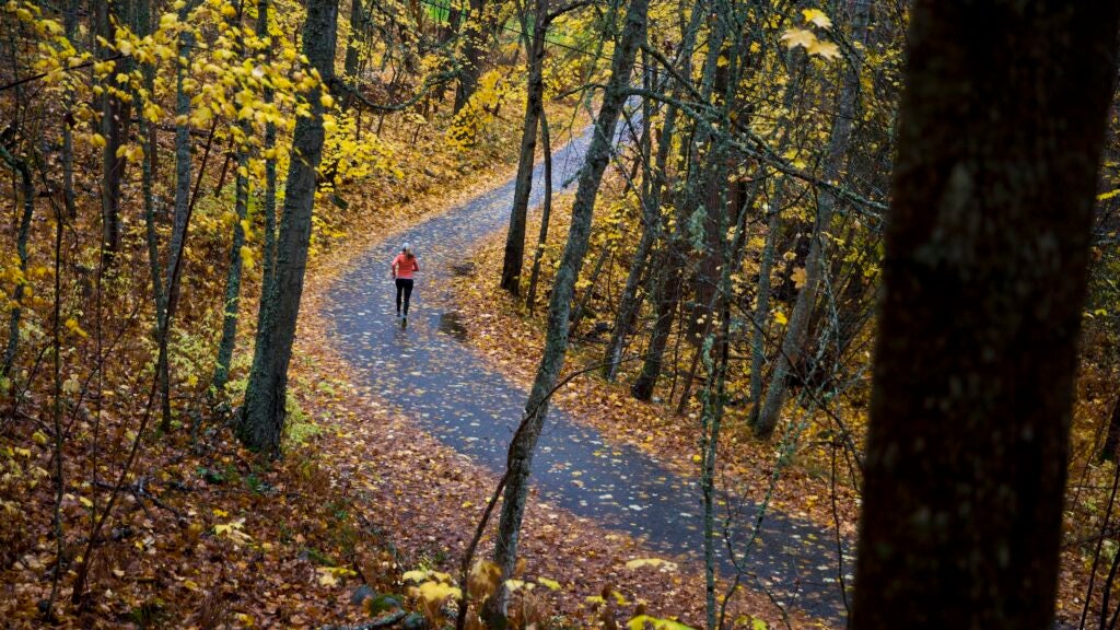 Common Misconceptions in Training for Trail and Ultras Future Health Post