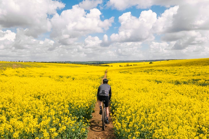 Fitness | The Science of Cross Training To Build Trail-Running Fitness 2 Cross-training for trail running