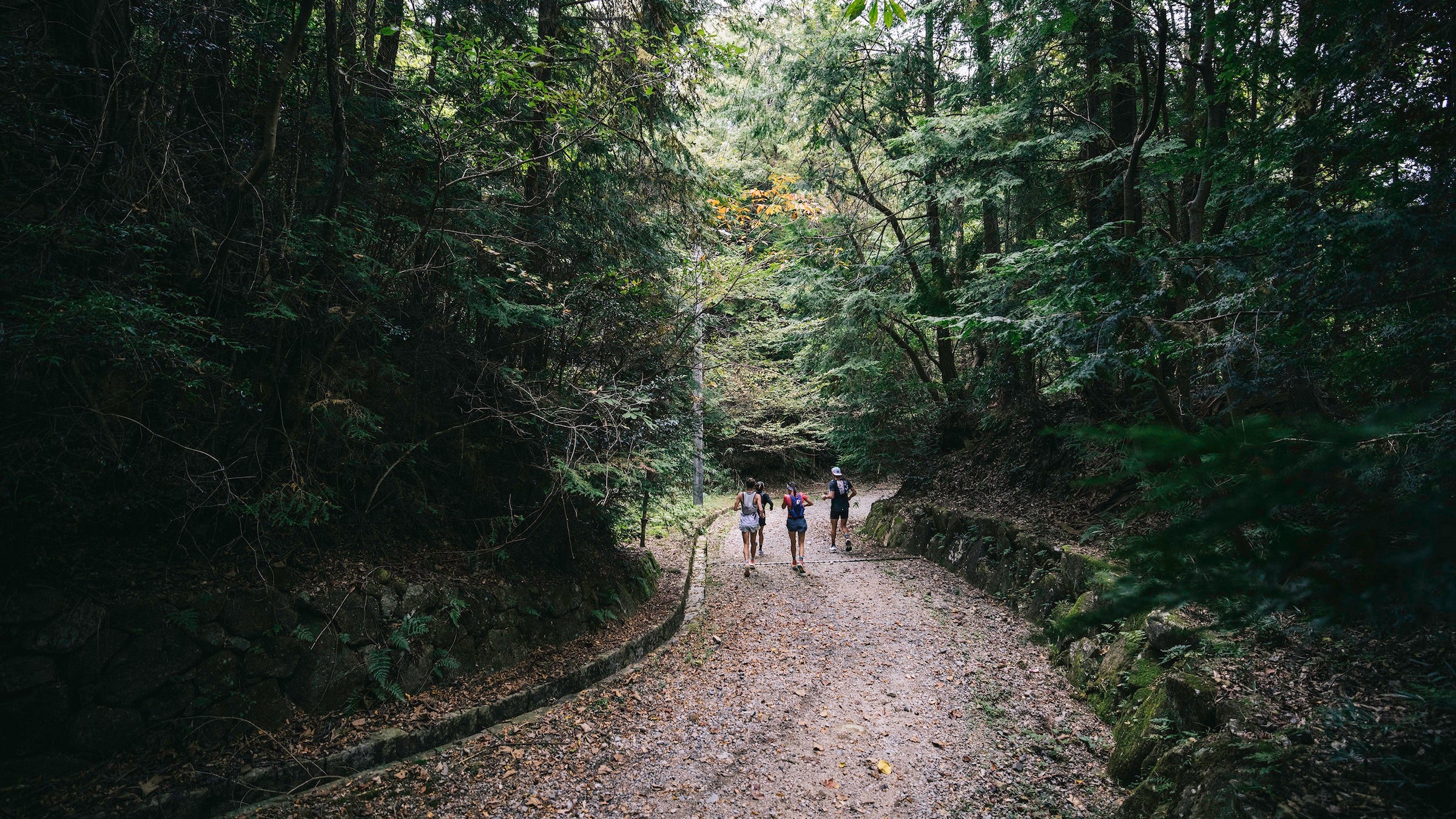 Running the Nakasendo, an Ancient Postal Route Across the Japanese Alps