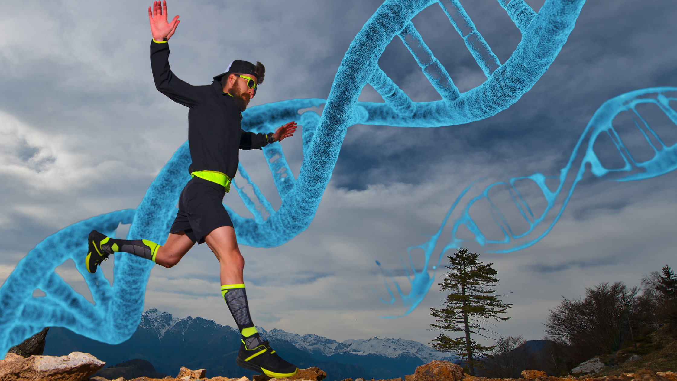 Is There A Running Gene?