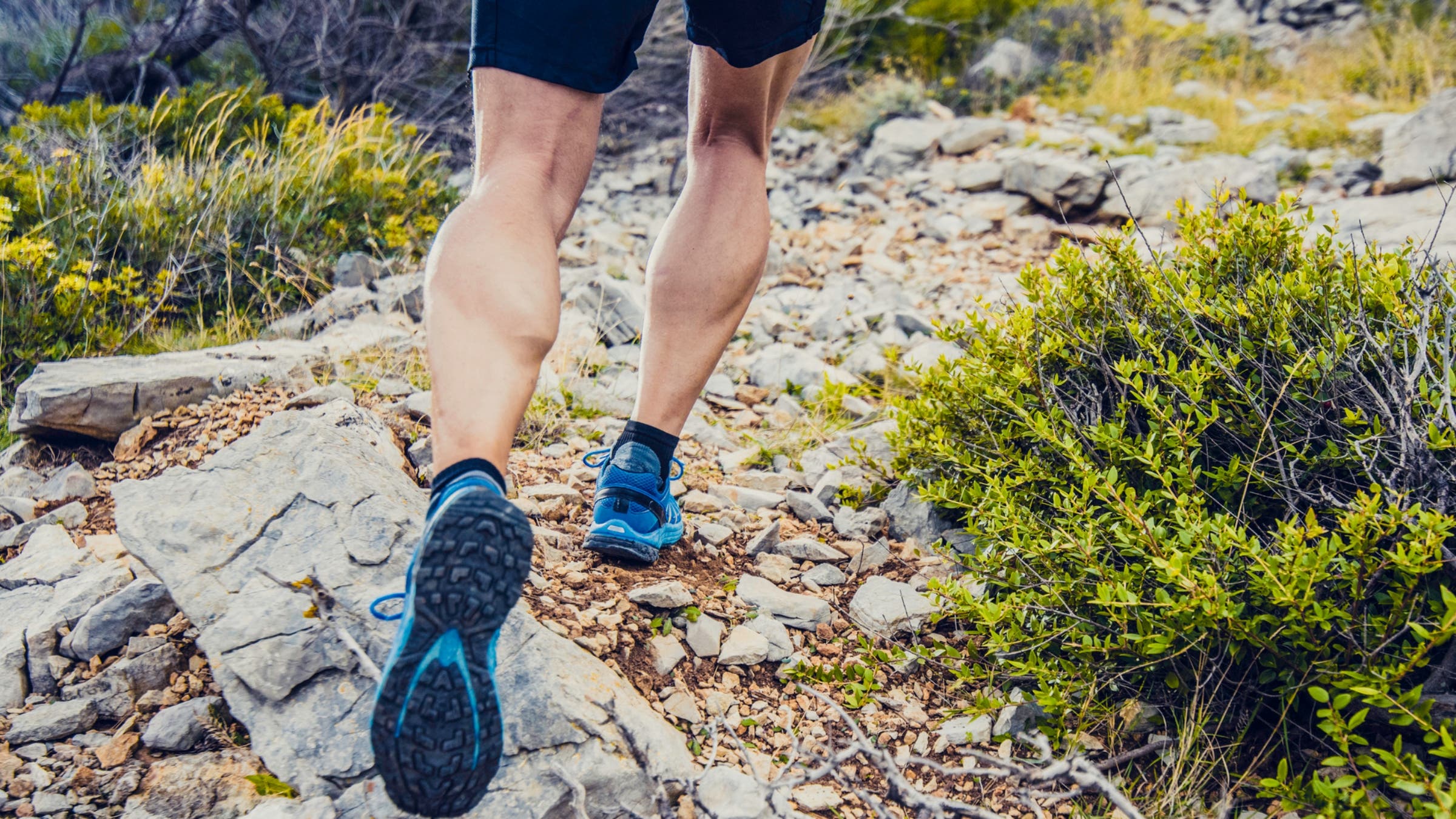 Trail Mastery: Harnessing Muscle Elasticity for Optimal Trail Running ...