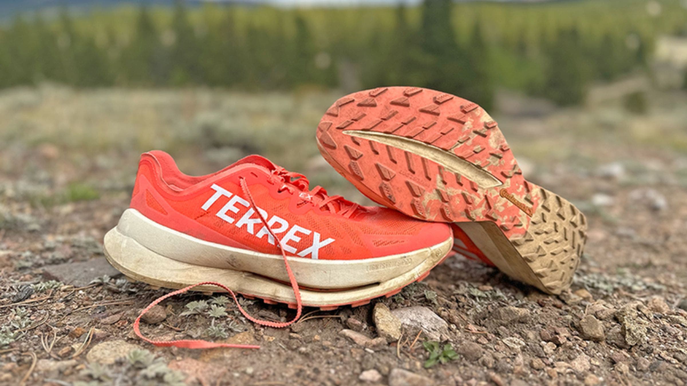 First Run Review: Adidas Terrex Agravic Speed Ultra First Run Review: Adidas Terrex Agravic Speed Ultra
