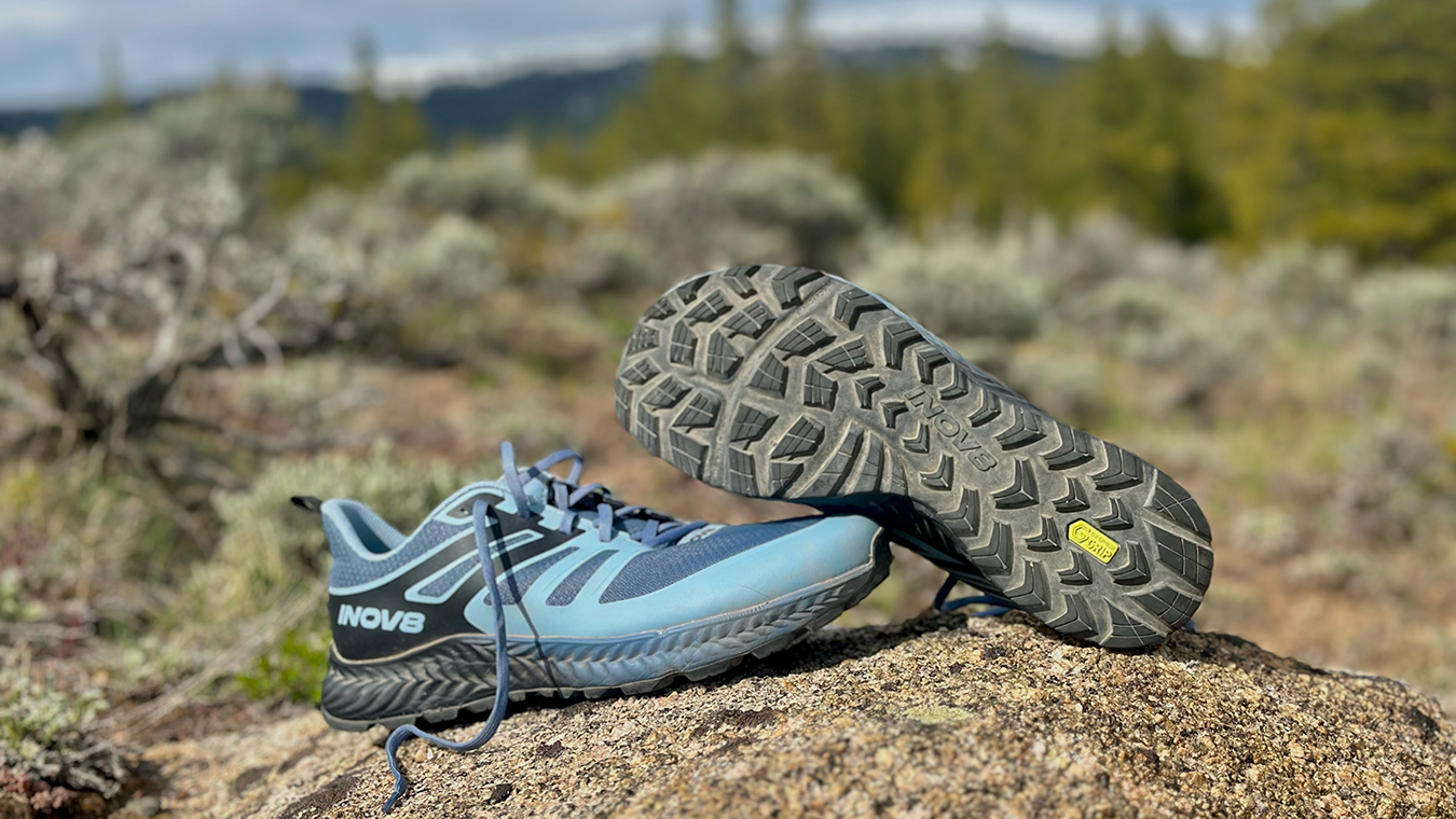 Salomon inov8 on sale